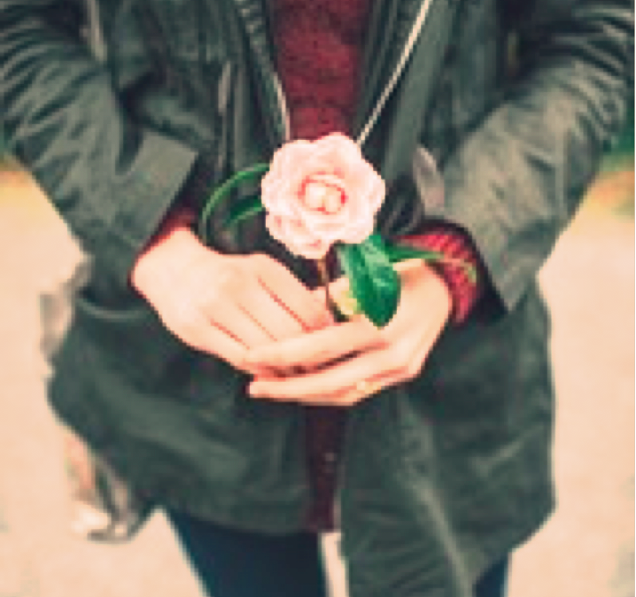 image person holding rose